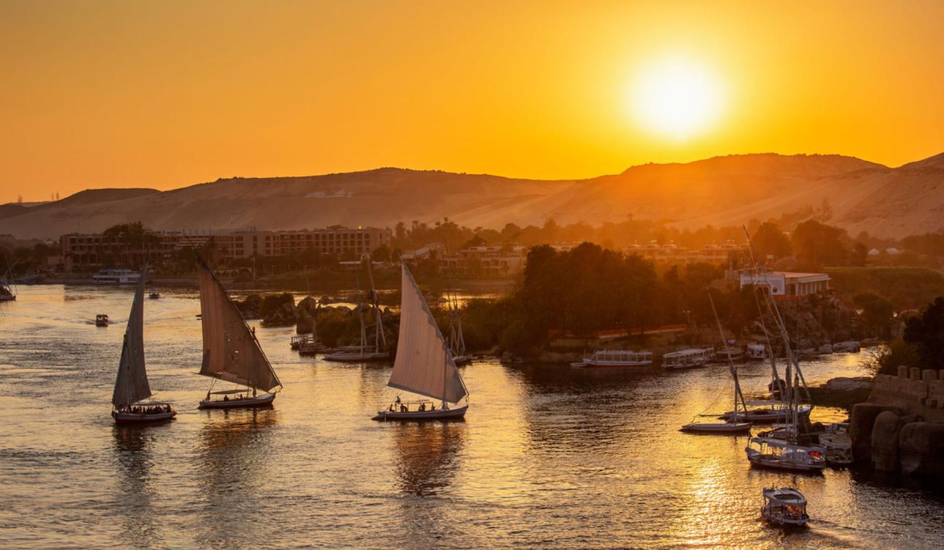 Felucca sailing experience around Elephantine Island,